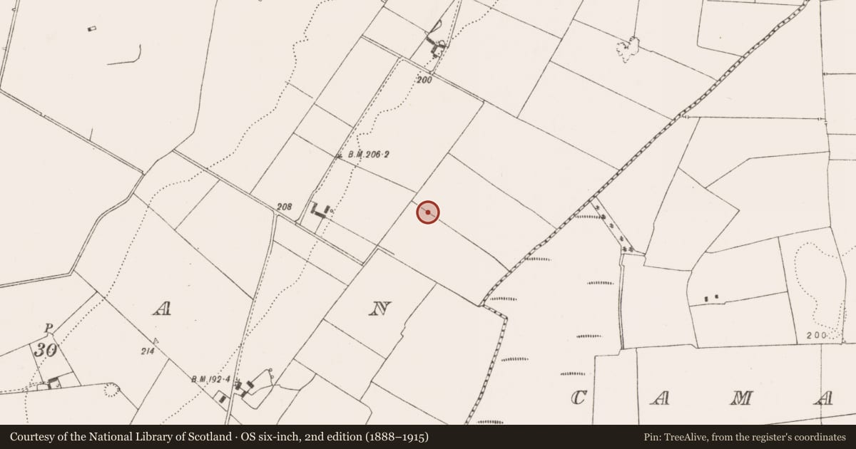 Ordnance Survey six-inch map, 2nd edition (1888–1915) covering the location of Enclosure, Crean, County Limerick, with a pin at the register's coordinates
