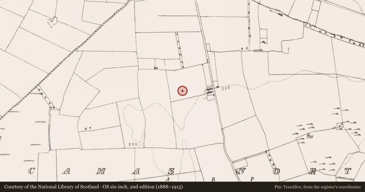Ordnance Survey six-inch map, 2nd edition (1888–1915) covering the location of Enclosure, Camas North, County Limerick, with a pin at the register's coordinates