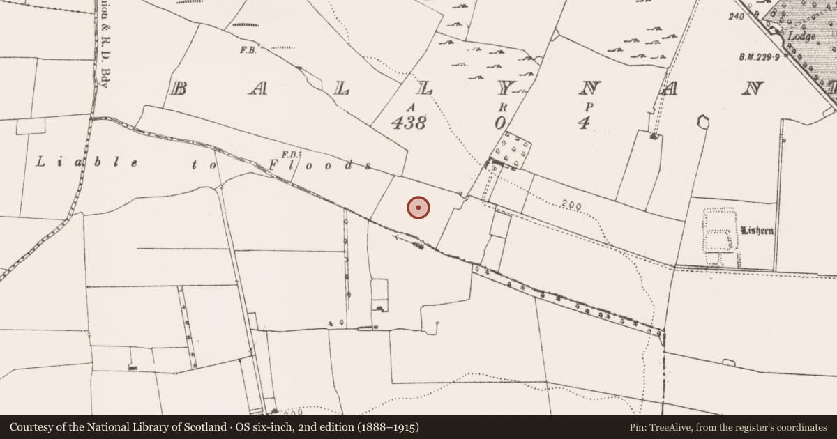 Ordnance Survey six-inch map, 2nd edition (1888–1915) covering the location of Field system, Ballynanty, County Limerick, with a pin at the register's coordinates