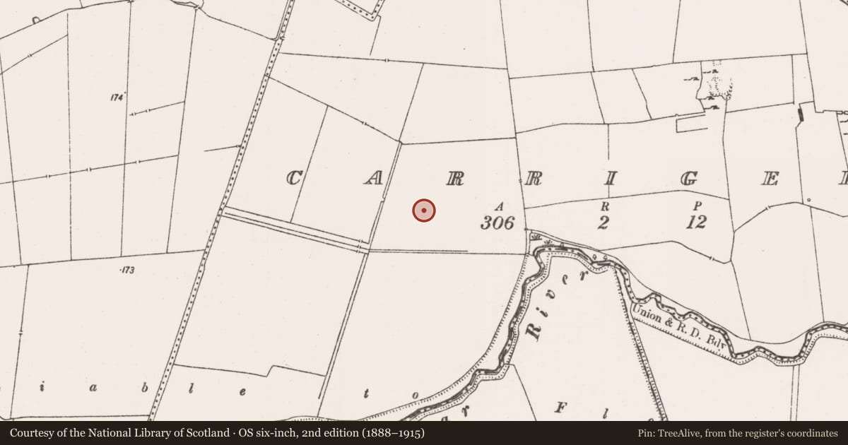 Ordnance Survey six-inch map, 2nd edition (1888–1915) covering the location of Barrow - ditch barrow, Carrigeen, County Limerick, with a pin at the register's coordinates