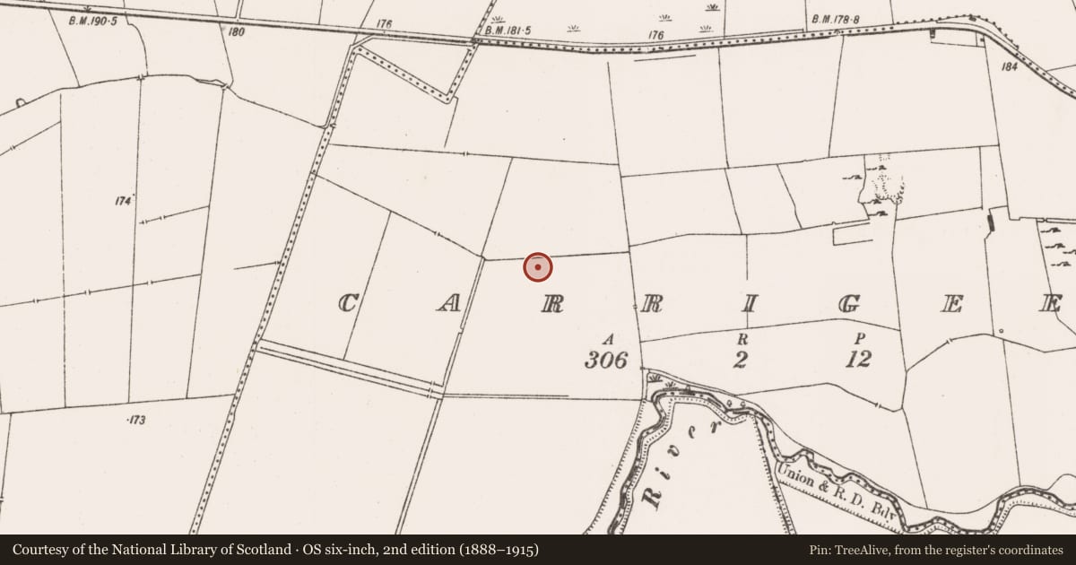 Ordnance Survey six-inch map, 2nd edition (1888–1915) covering the location of Barrow - ring-barrow, Carrigeen, County Limerick, with a pin at the register's coordinates