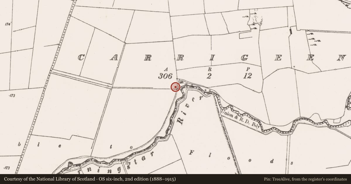 Ordnance Survey six-inch map, 2nd edition (1888–1915) covering the location of Barrow - ditch barrow, Carrigeen, County Limerick, with a pin at the register's coordinates