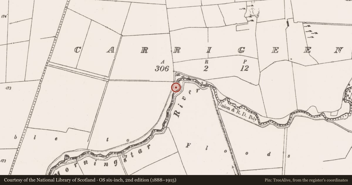 Ordnance Survey six-inch map, 2nd edition (1888–1915) covering the location of Standing stone, Carrigeen, County Limerick, with a pin at the register's coordinates