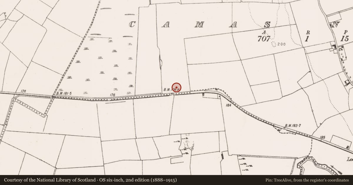 Ordnance Survey six-inch map, 2nd edition (1888–1915) covering the location of Barrow - ditch barrow, Camas North, County Limerick, with a pin at the register's coordinates