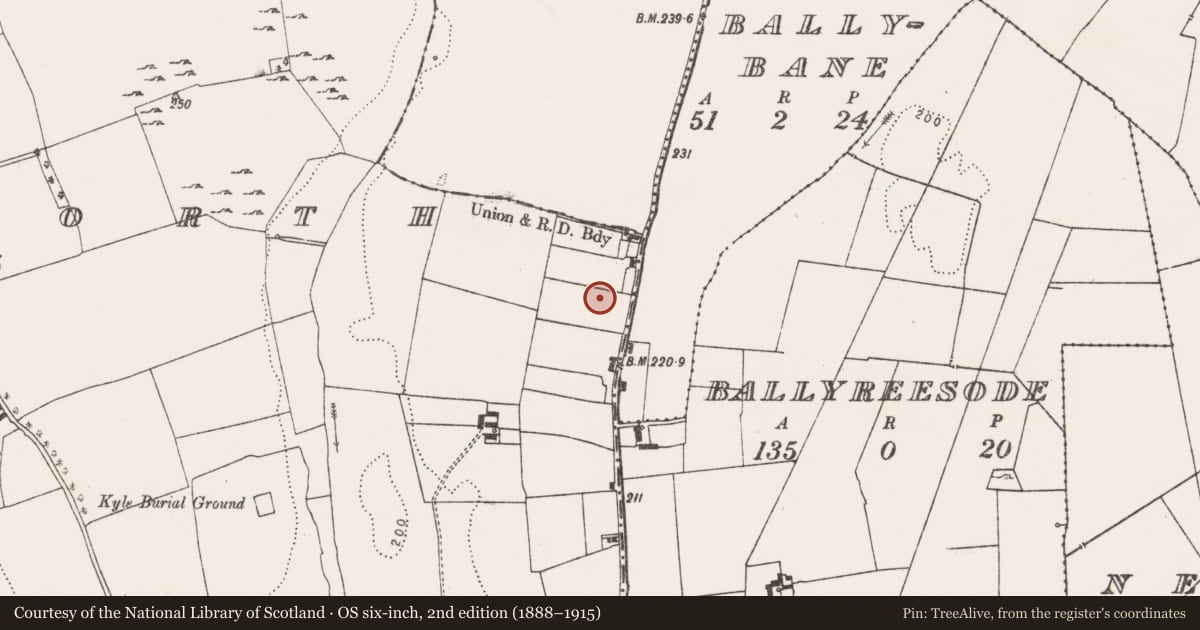 Ordnance Survey six-inch map, 2nd edition (1888–1915) covering the location of Ring-ditch, Camas North, County Limerick, with a pin at the register's coordinates