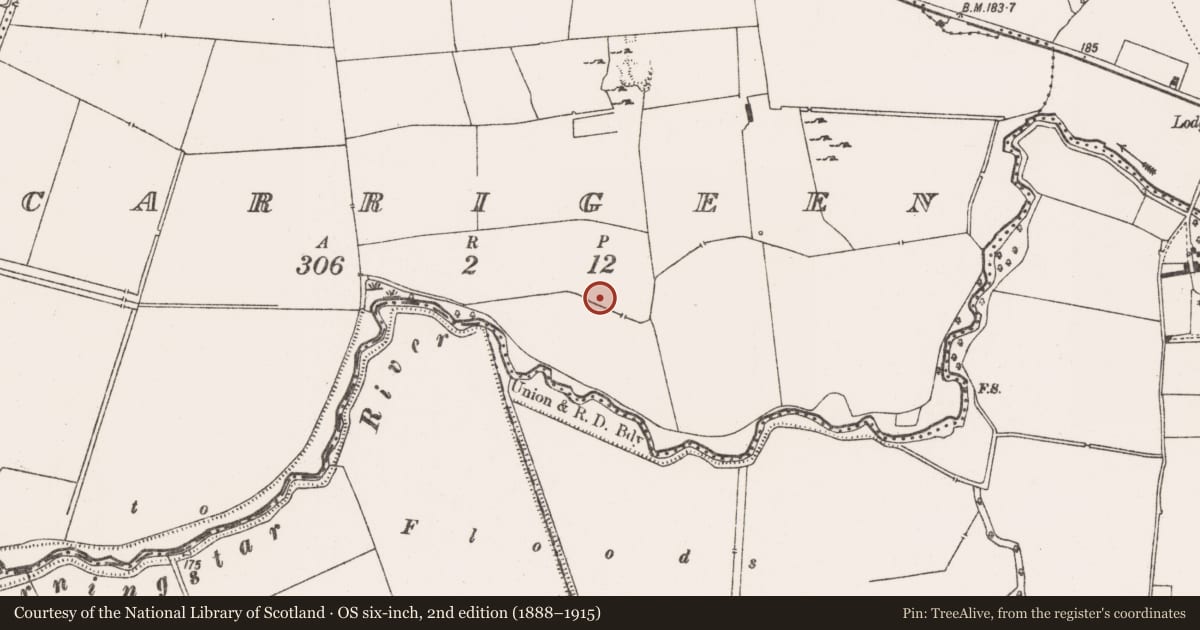 Ordnance Survey six-inch map, 2nd edition (1888–1915) covering the location of Enclosure, Carrigeen, County Limerick, with a pin at the register's coordinates