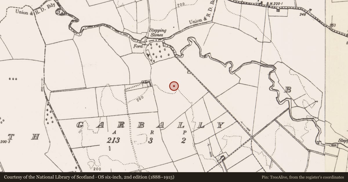Ordnance Survey six-inch map, 2nd edition (1888–1915) covering the location of Ring-ditch, Garbally, County Limerick, with a pin at the register's coordinates