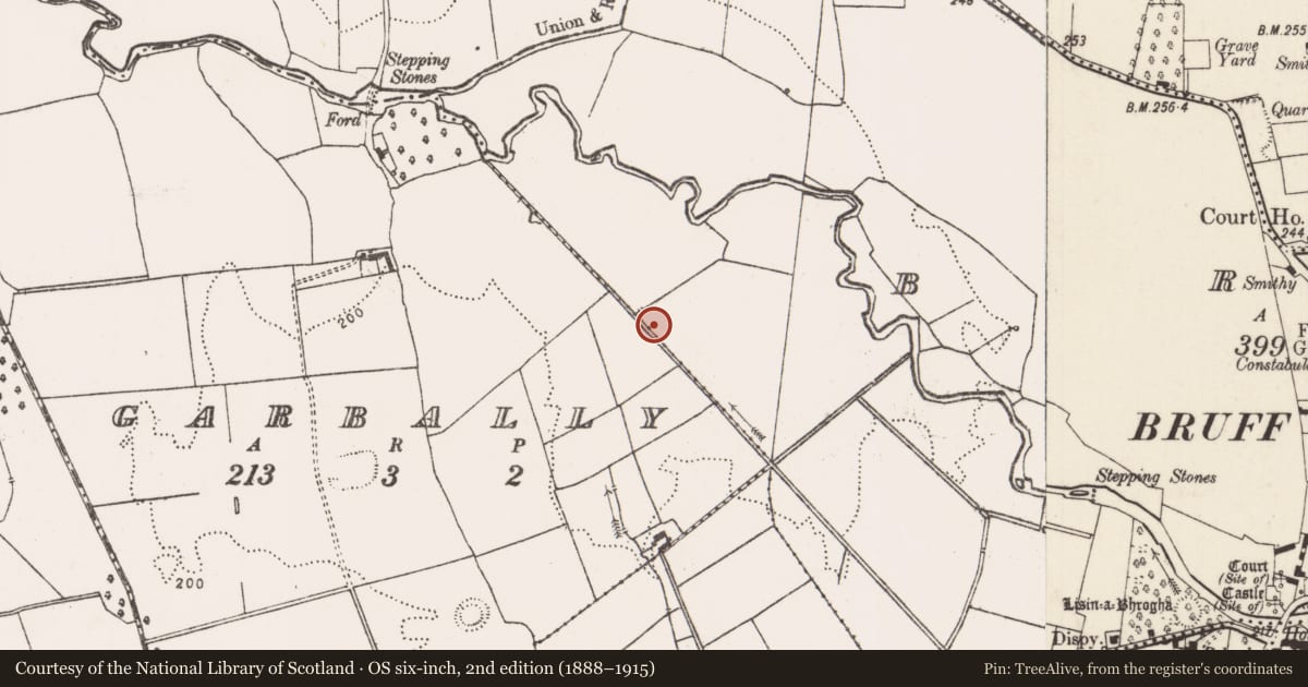 Ordnance Survey six-inch map, 2nd edition (1888–1915) covering the location of Barrow - ditch barrow, Bruff, County Limerick, with a pin at the register's coordinates