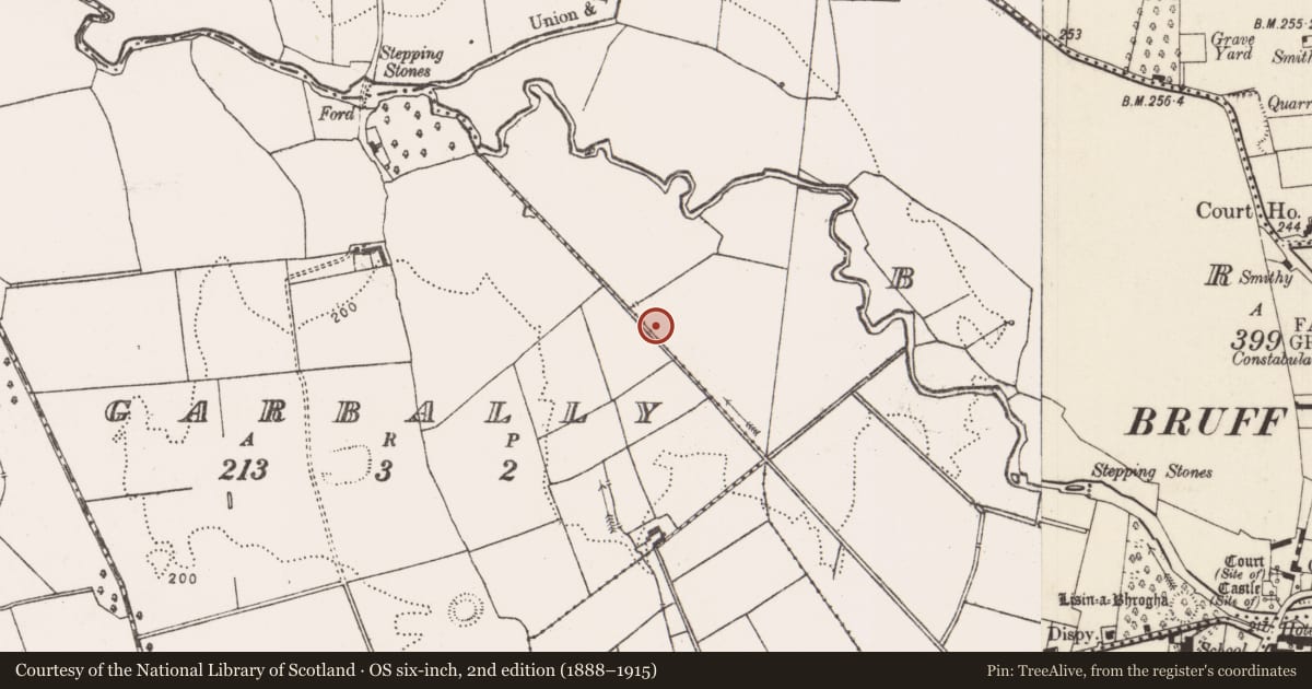 Ordnance Survey six-inch map, 2nd edition (1888–1915) covering the location of Earthwork, Bruff, County Limerick, with a pin at the register's coordinates