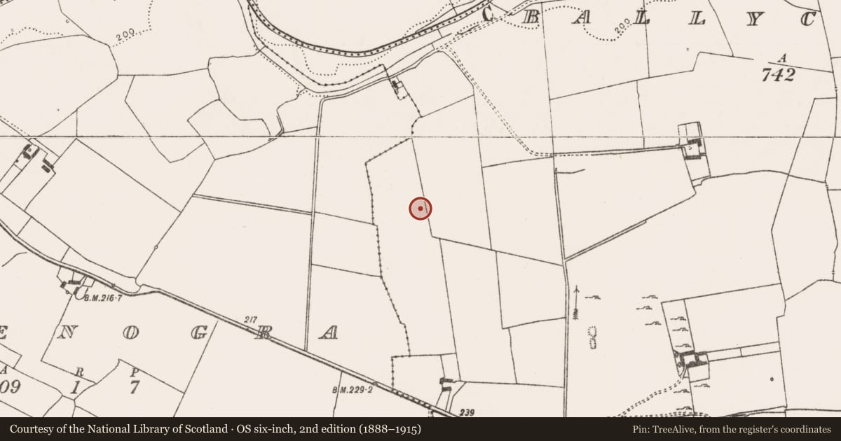 Ordnance Survey six-inch map, 2nd edition (1888–1915) covering the location of Moated site, Ballycullane, County Limerick, with a pin at the register's coordinates