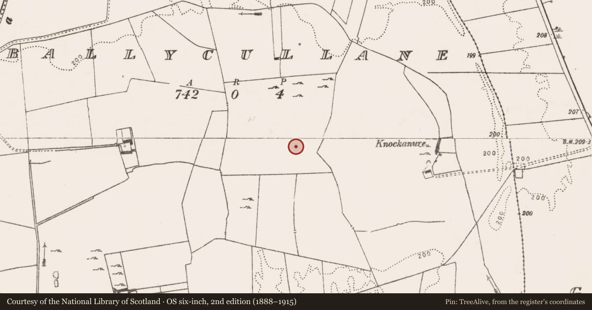 Ordnance Survey six-inch map, 2nd edition (1888–1915) covering the location of Enclosure, Ballycullane, County Limerick, with a pin at the register's coordinates