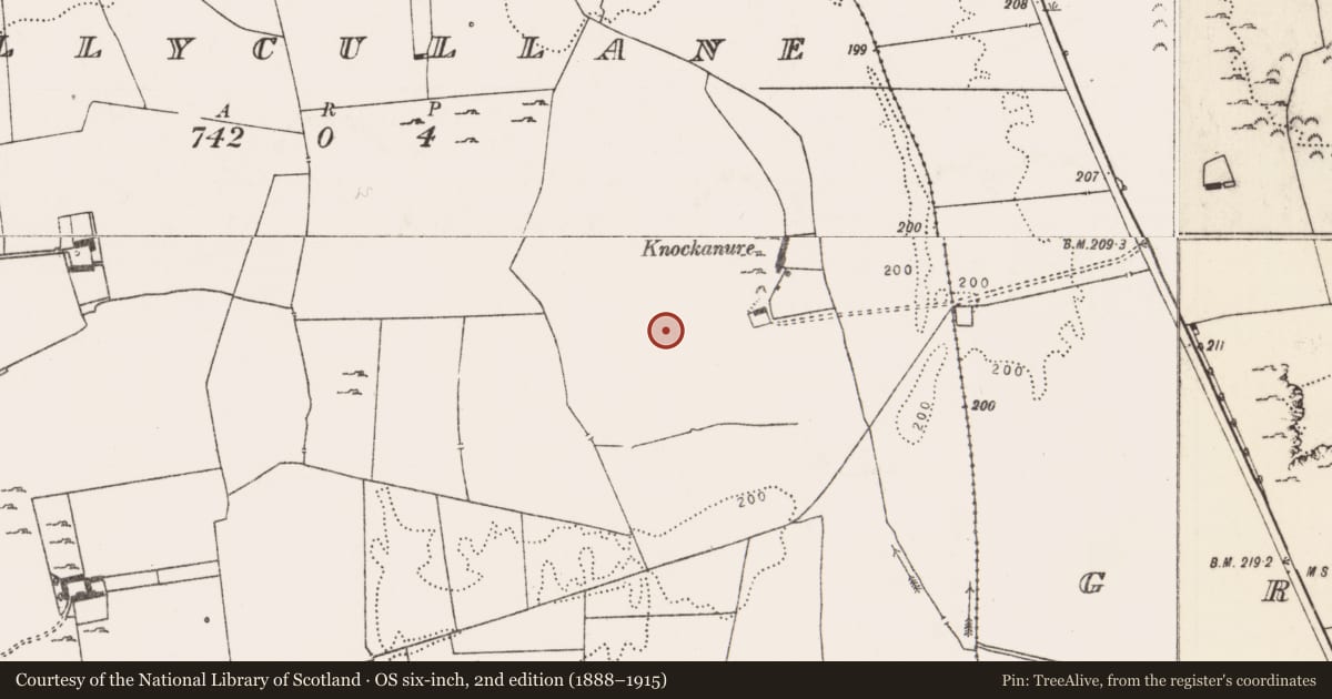 Ordnance Survey six-inch map, 2nd edition (1888–1915) covering the location of Enclosure, Ballycullane, County Limerick, with a pin at the register's coordinates