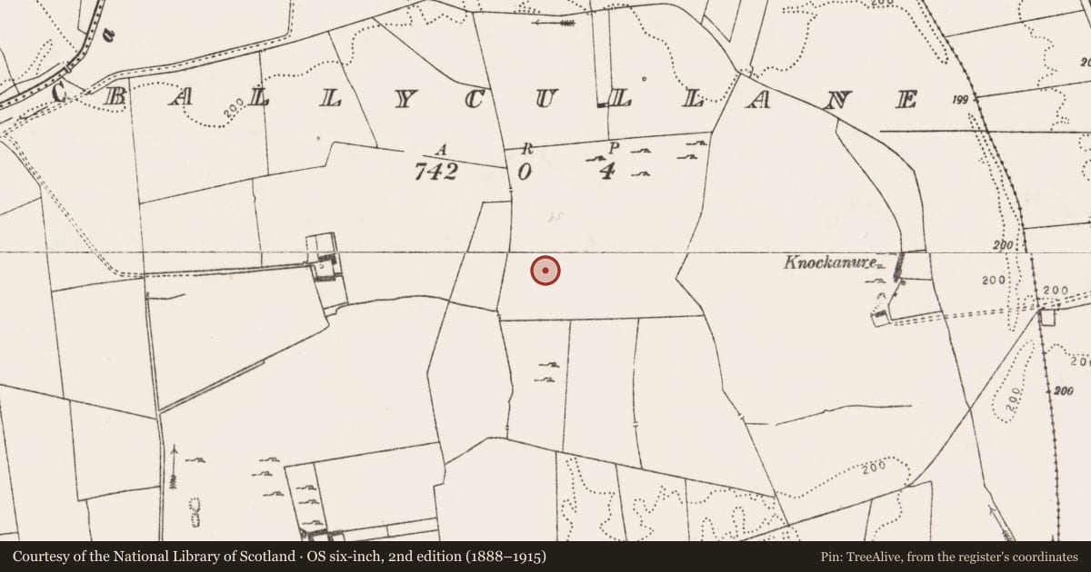 Ordnance Survey six-inch map, 2nd edition (1888–1915) covering the location of Burnt mound, Ballycullane, County Limerick, with a pin at the register's coordinates