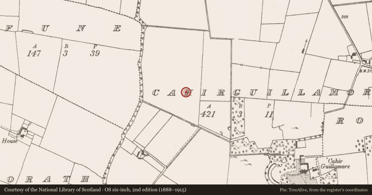 Ordnance Survey six-inch map, 2nd edition (1888–1915) covering the location of Mound, Cahirguillamore, County Limerick, with a pin at the register's coordinates