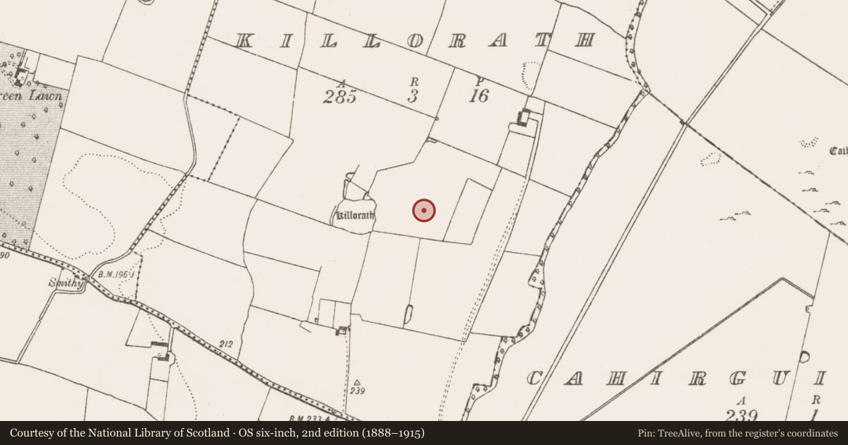 Ordnance Survey six-inch map, 2nd edition (1888–1915) covering the location of Earthwork, Killorath, County Limerick, with a pin at the register's coordinates