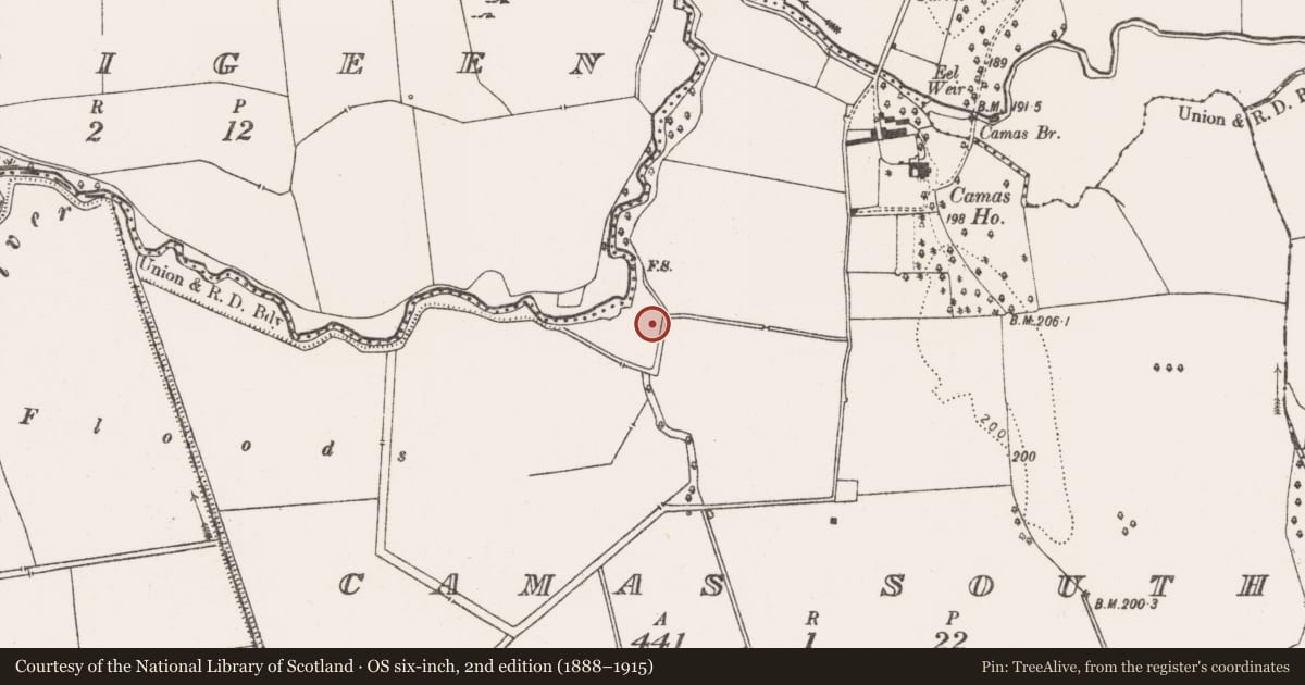 Ordnance Survey six-inch map, 2nd edition (1888–1915) covering the location of Enclosure, Camas South, County Limerick, with a pin at the register's coordinates