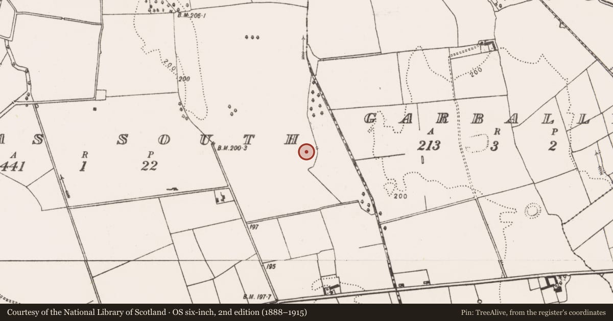 Ordnance Survey six-inch map, 2nd edition (1888–1915) covering the location of Enclosure, Camas South, County Limerick, with a pin at the register's coordinates