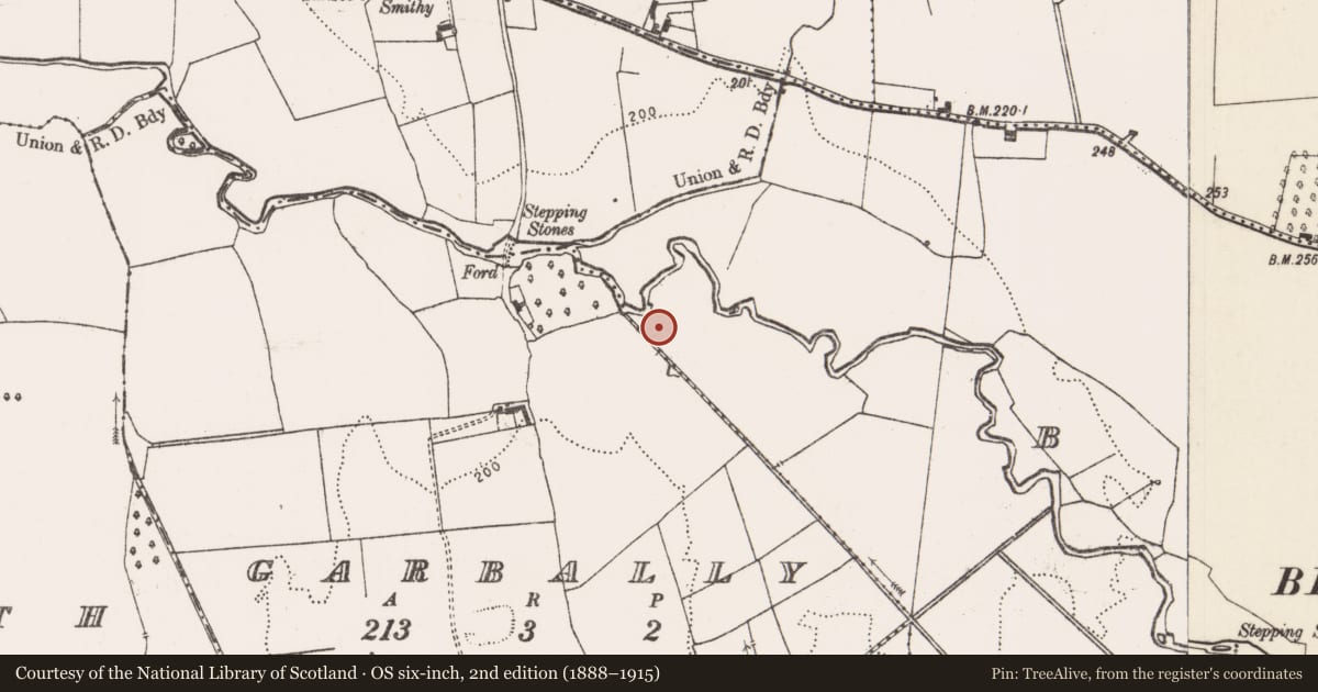Ordnance Survey six-inch map, 2nd edition (1888–1915) covering the location of Earthwork, Bruff, County Limerick, with a pin at the register's coordinates