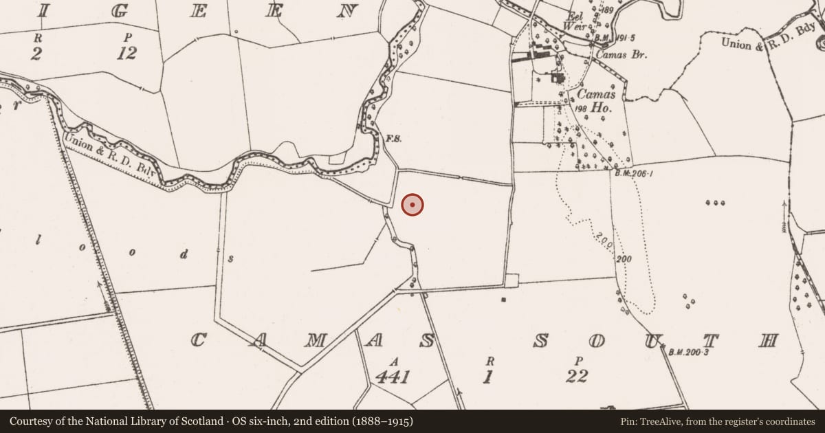 Ordnance Survey six-inch map, 2nd edition (1888–1915) covering the location of Enclosure, Camas South, County Limerick, with a pin at the register's coordinates