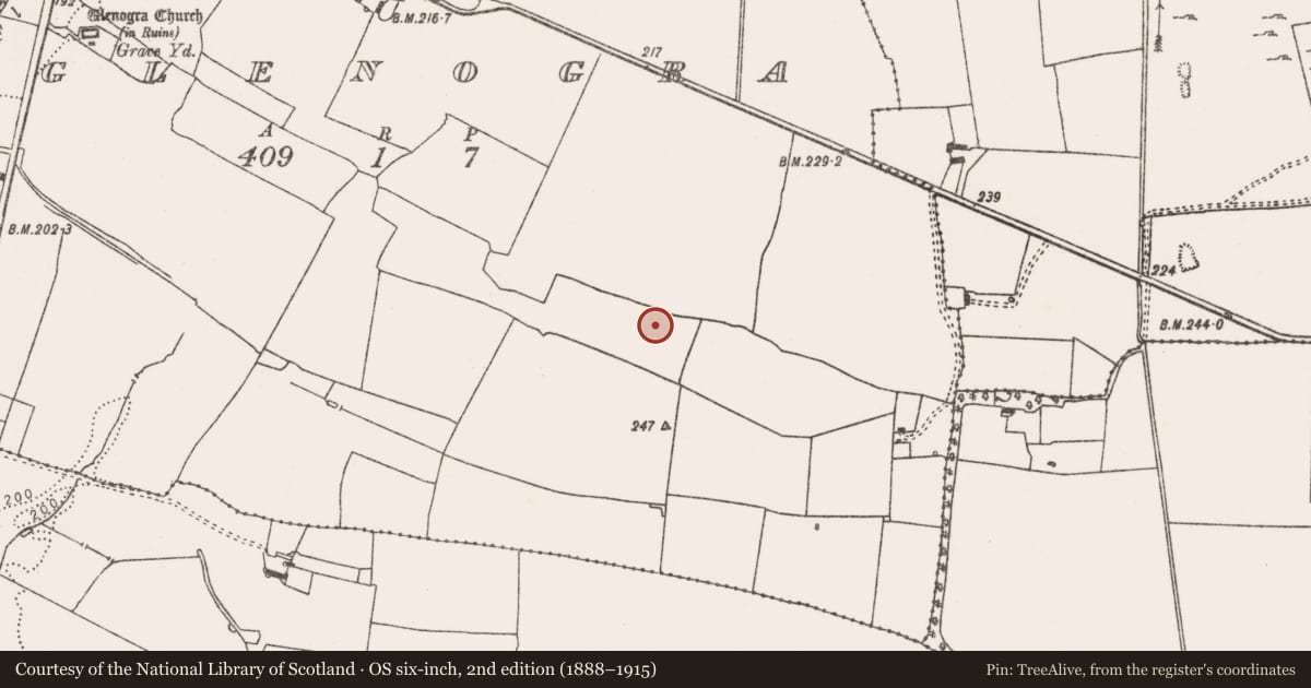 Ordnance Survey six-inch map, 2nd edition (1888–1915) covering the location of House - indeterminate date, Glenogra, County Limerick, with a pin at the register's coordinates