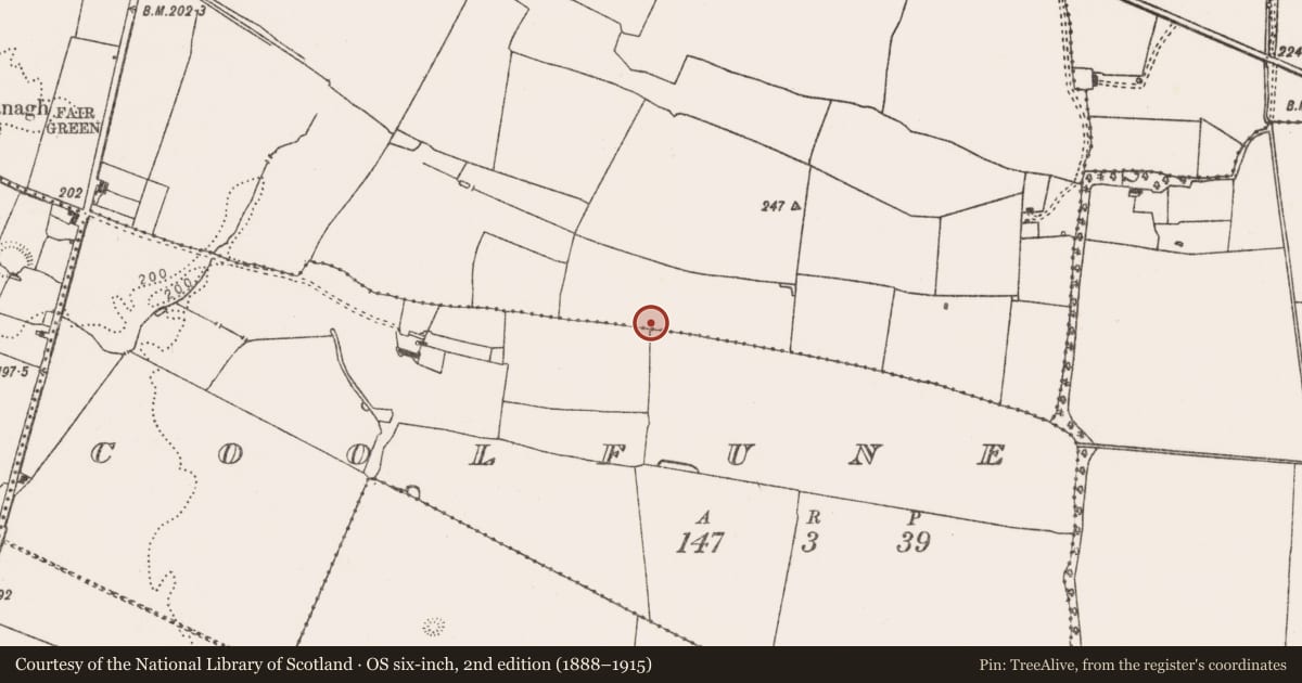 Ordnance Survey six-inch map, 2nd edition (1888–1915) covering the location of Enclosure, Glenogra, County Limerick, with a pin at the register's coordinates