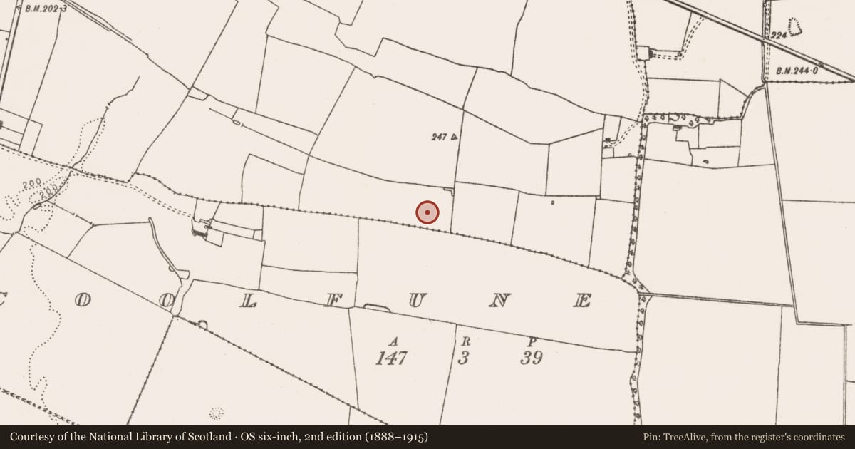 Ordnance Survey six-inch map, 2nd edition (1888–1915) covering the location of Enclosure, Glenogra, County Limerick, with a pin at the register's coordinates