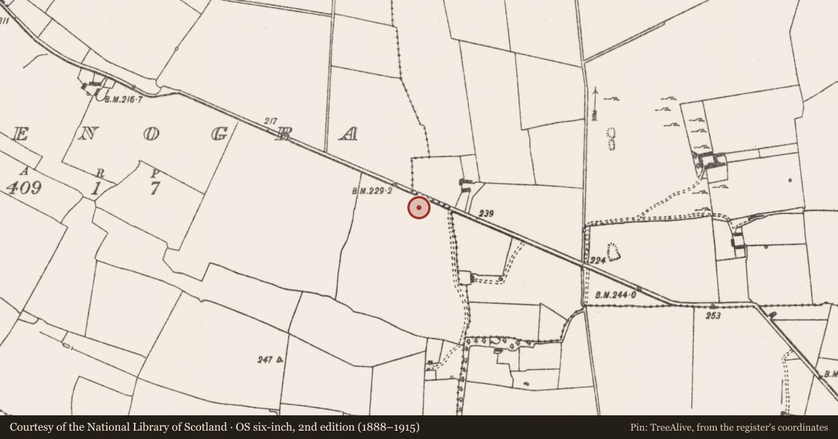 Ordnance Survey six-inch map, 2nd edition (1888–1915) covering the location of Enclosure, Glenogra, County Limerick, with a pin at the register's coordinates