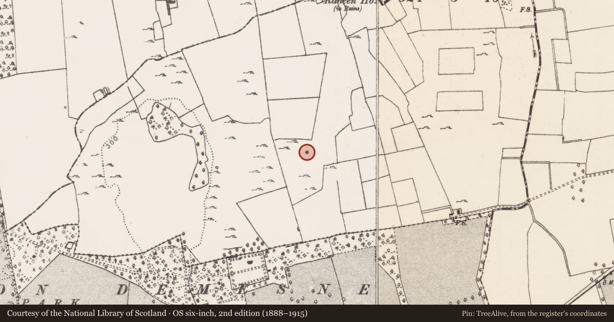 Ordnance Survey six-inch map, 2nd edition (1888–1915) covering the location of Settlement cluster, Raheen, County Limerick, with a pin at the register's coordinates