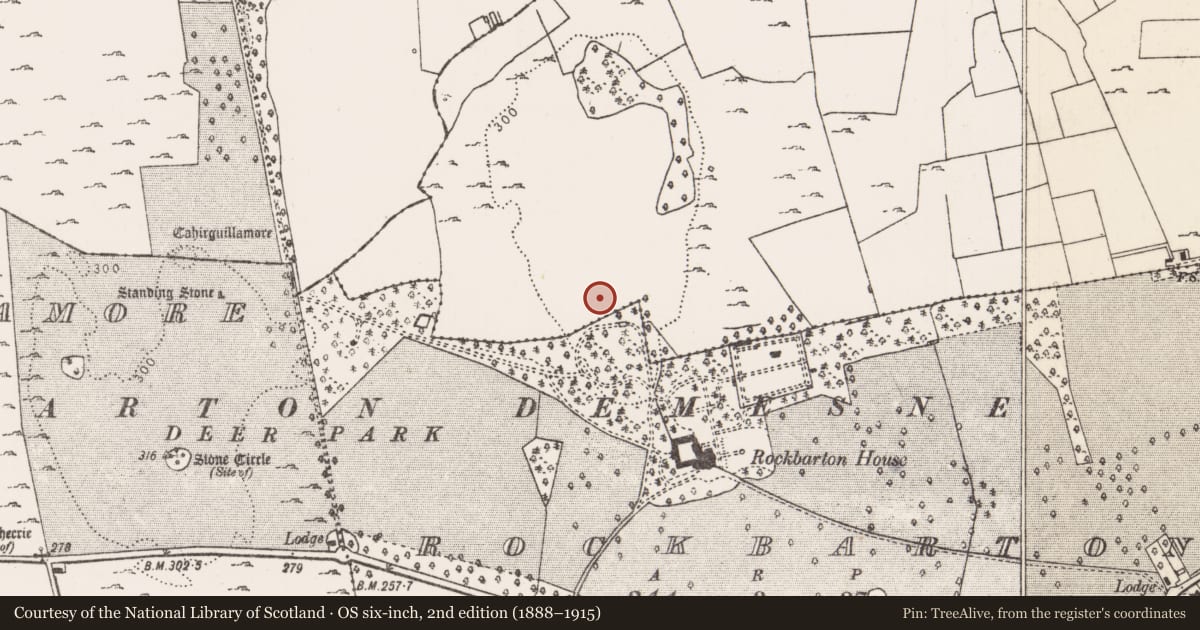 Ordnance Survey six-inch map, 2nd edition (1888–1915) covering the location of Enclosure, Raheen, County Limerick, with a pin at the register's coordinates