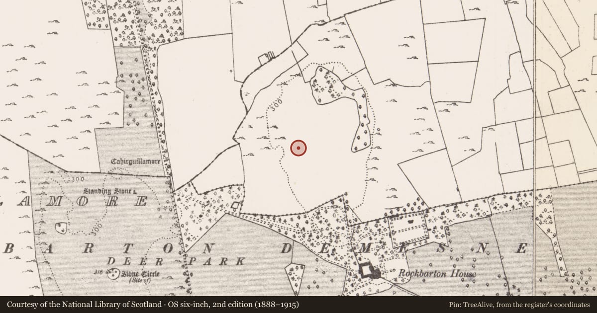 Ordnance Survey six-inch map, 2nd edition (1888–1915) covering the location of Field system, Raheen, County Limerick, with a pin at the register's coordinates