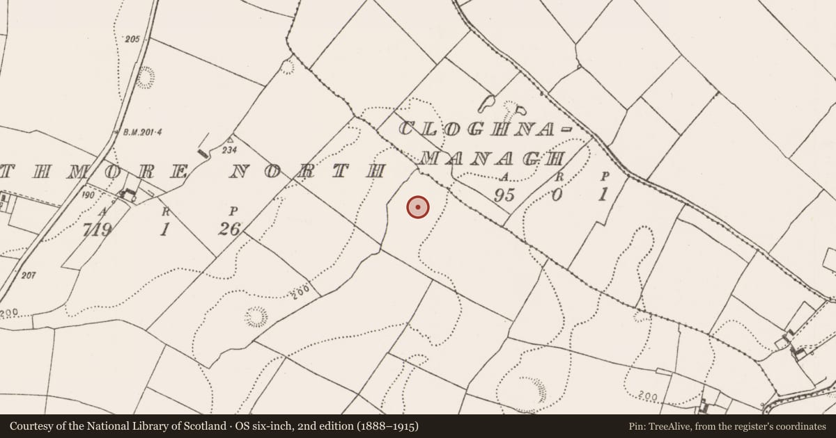Ordnance Survey six-inch map, 2nd edition (1888–1915) covering the location of Enclosure, Rathmore North, County Limerick, with a pin at the register's coordinates