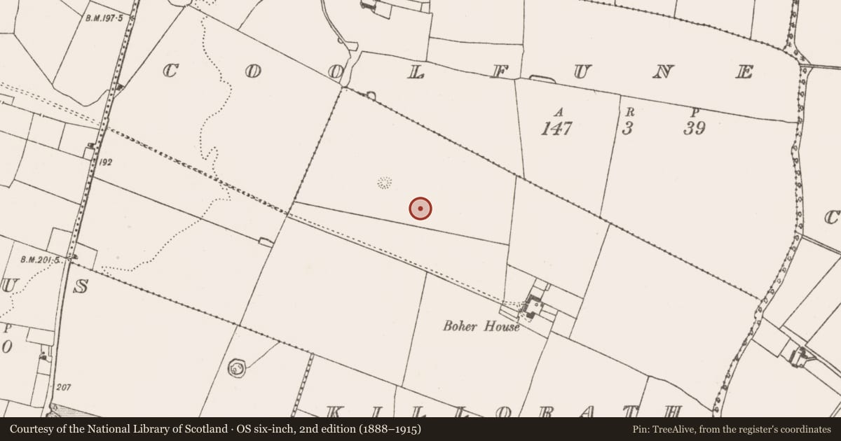 Ordnance Survey six-inch map, 2nd edition (1888–1915) covering the location of Road - road/trackway, Killorath, County Limerick, with a pin at the register's coordinates