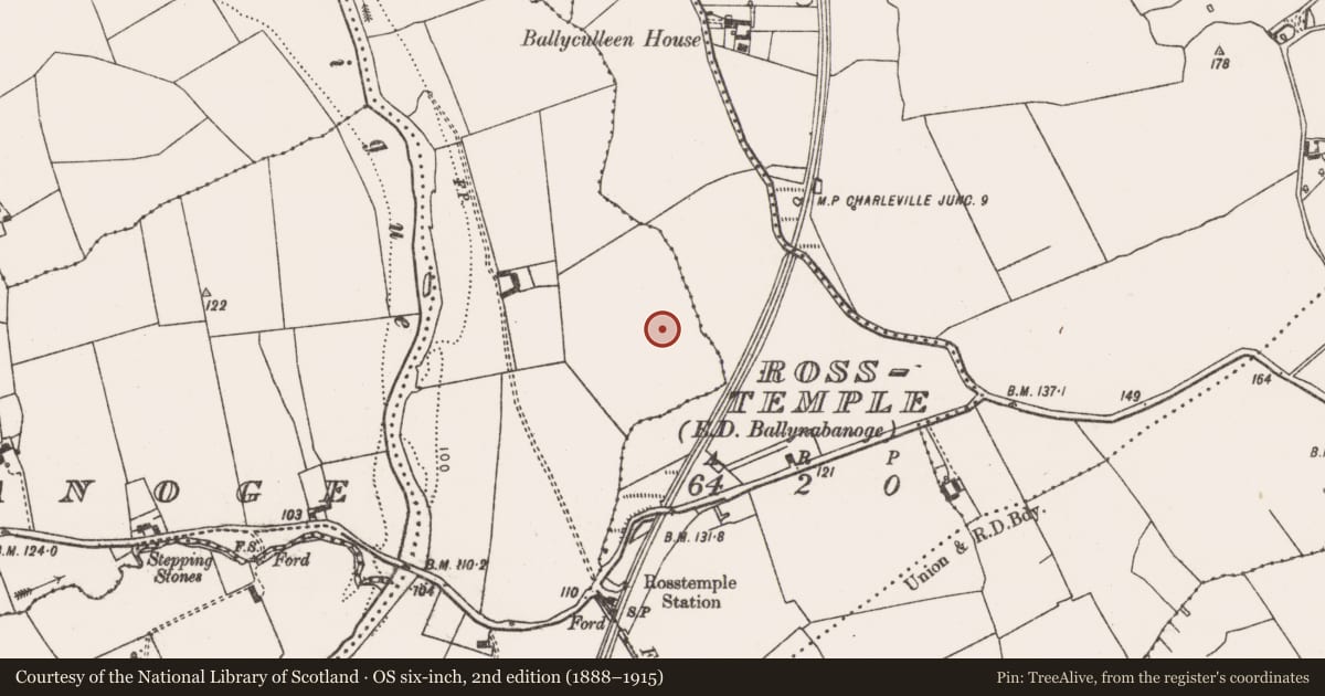 Ordnance Survey six-inch map, 2nd edition (1888–1915) covering the location of Excavation - miscellaneous, Inchinclare, County Limerick, with a pin at the register's coordinates