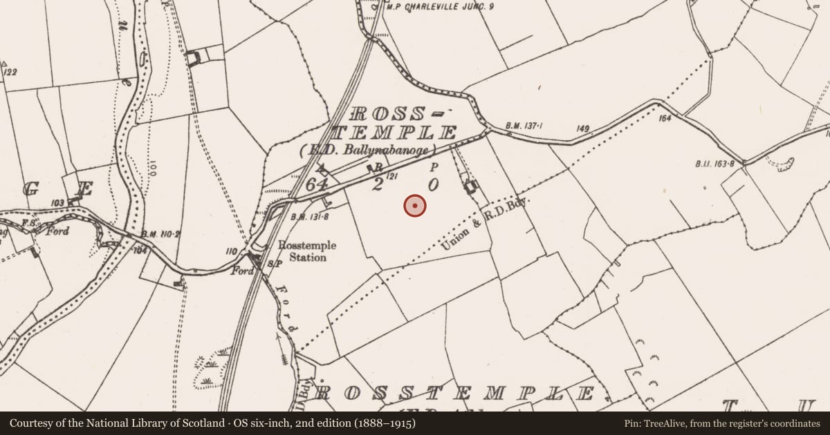 Ordnance Survey six-inch map, 2nd edition (1888–1915) covering the location of Excavation - miscellaneous, Rosstemple, County Limerick, with a pin at the register's coordinates