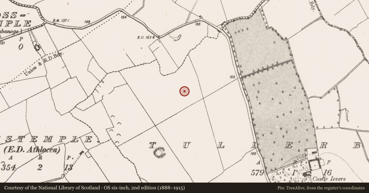 Ordnance Survey six-inch map, 2nd edition (1888–1915) covering the location of Metalworking site, Tullerboy, County Limerick, with a pin at the register's coordinates