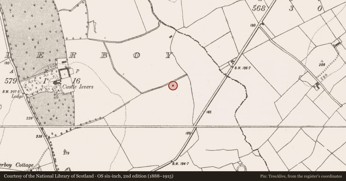 Ordnance Survey six-inch map, 2nd edition (1888–1915) covering the location of Fulacht fia, Tullerboy, County Limerick, with a pin at the register's coordinates