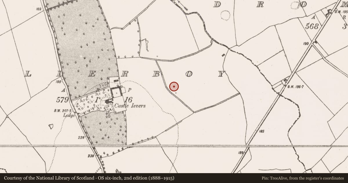 Ordnance Survey six-inch map, 2nd edition (1888–1915) covering the location of Fulacht fia, Tullerboy, County Limerick, with a pin at the register's coordinates