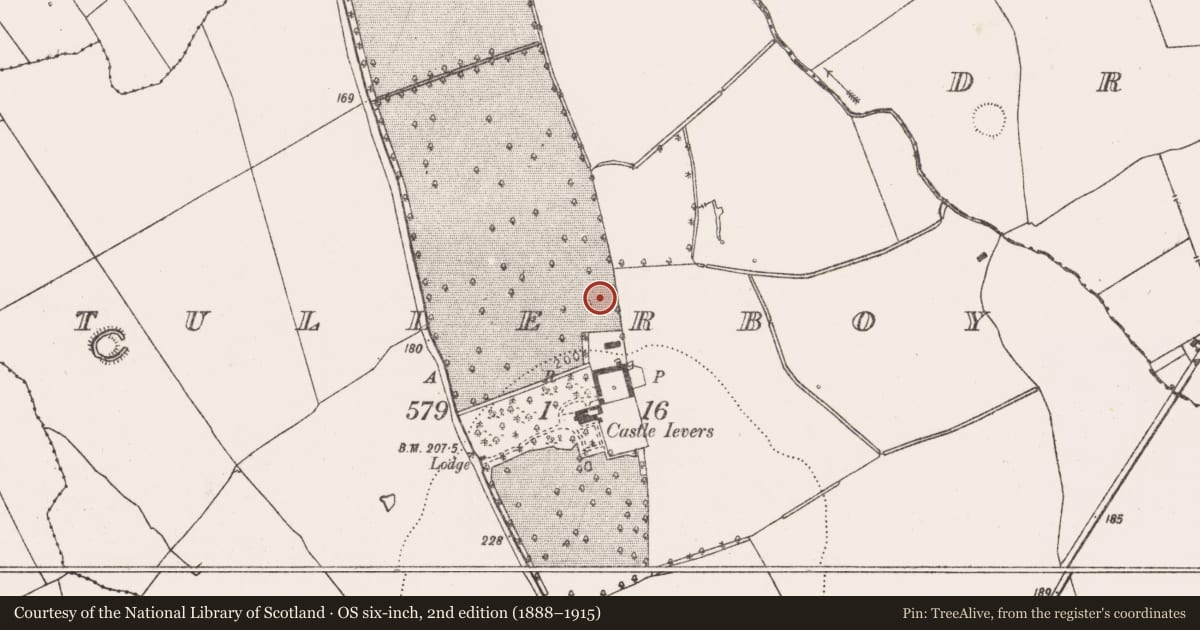 Ordnance Survey six-inch map, 2nd edition (1888–1915) covering the location of Excavation - miscellaneous, Tullerboy, County Limerick, with a pin at the register's coordinates