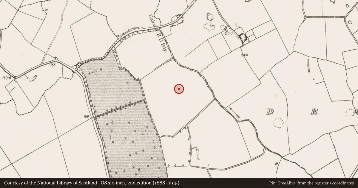 Ordnance Survey six-inch map, 2nd edition (1888–1915) covering the location of Moated site, Tullerboy, County Limerick, with a pin at the register's coordinates