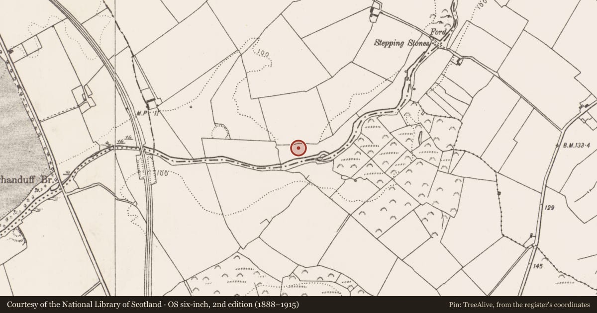 Ordnance Survey six-inch map, 2nd edition (1888–1915) covering the location of Linear earthwork, Ballymacsradeen West, County Limerick, with a pin at the register's coordinates
