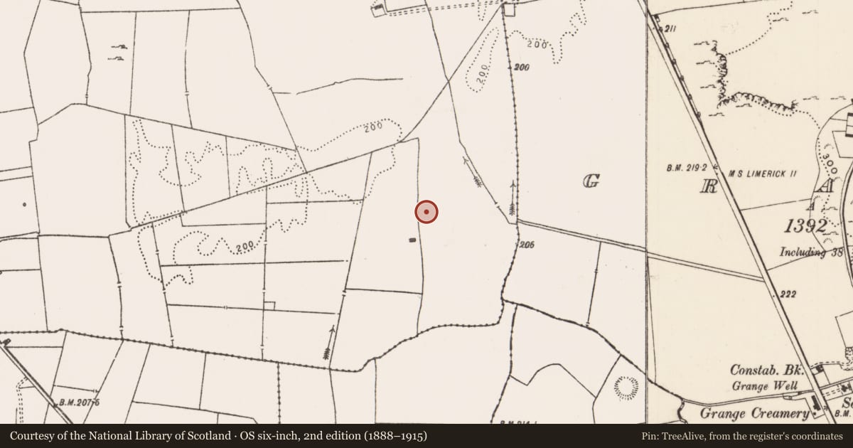 Ordnance Survey six-inch map, 2nd edition (1888–1915) covering the location of Fulacht fia, Ballycullane, County Limerick, with a pin at the register's coordinates
