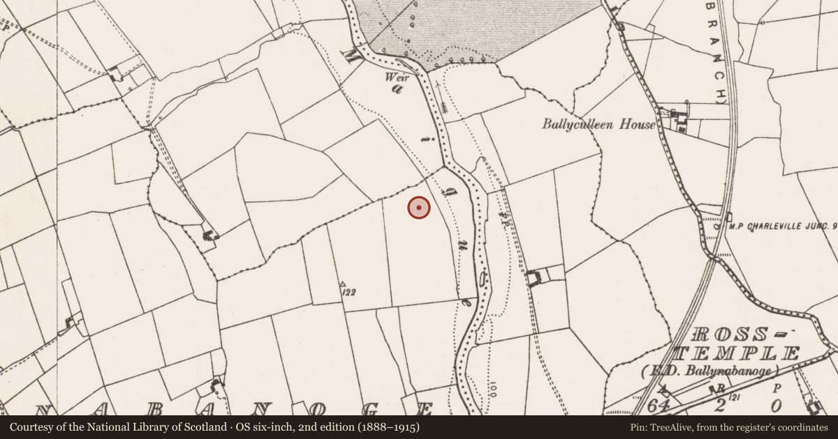 Ordnance Survey six-inch map, 2nd edition (1888–1915) covering the location of Cremated remains, Ballynabanoge, County Limerick, with a pin at the register's coordinates
