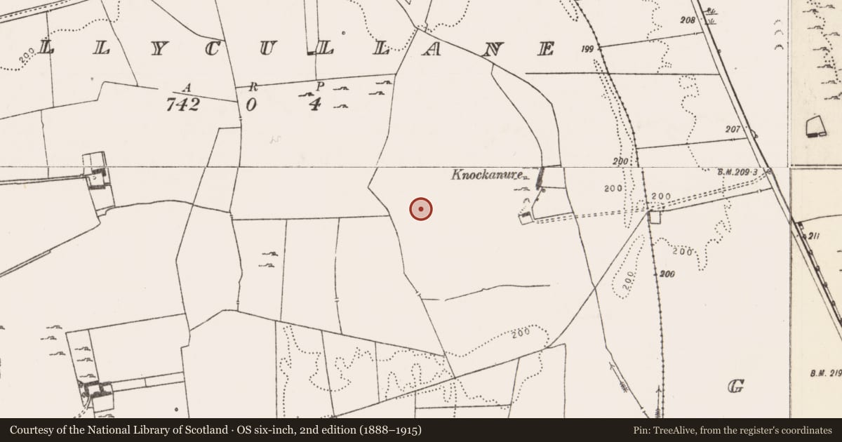 Ordnance Survey six-inch map, 2nd edition (1888–1915) covering the location of Field system, Ballycullane, County Limerick, with a pin at the register's coordinates