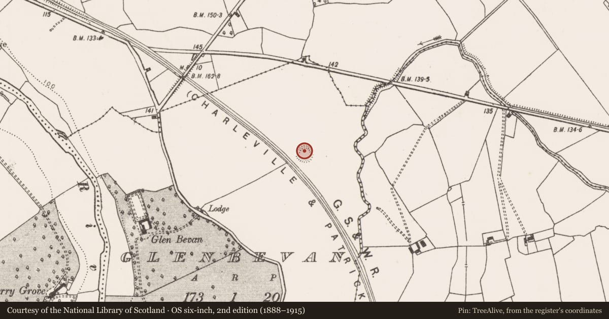 Ordnance Survey six-inch map, 2nd edition (1888–1915) covering the location of Burial, Glenbevan, County Limerick, with a pin at the register's coordinates