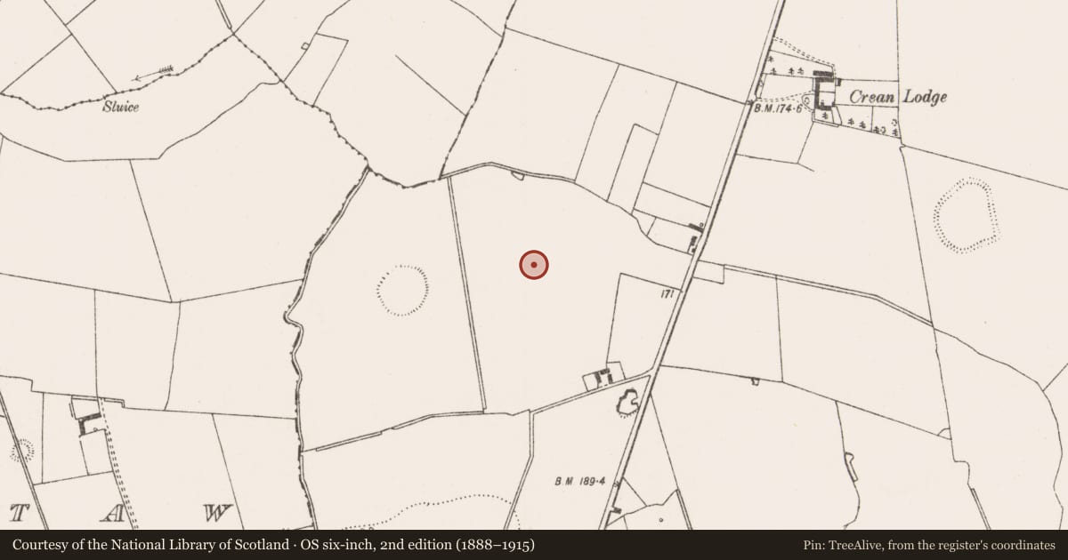 Ordnance Survey six-inch map, 2nd edition (1888–1915) covering the location of Earthwork, Crean, County Limerick, with a pin at the register's coordinates