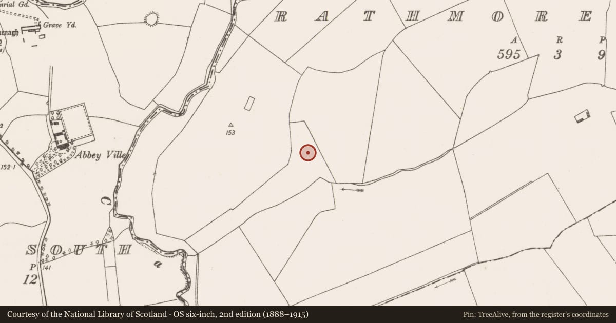 Ordnance Survey six-inch map, 2nd edition (1888–1915) covering the location of Earthwork, Rathmore South, County Limerick, with a pin at the register's coordinates