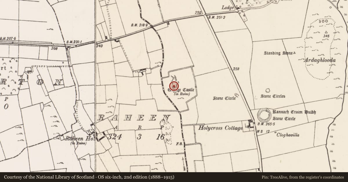 Ordnance Survey six-inch map, 2nd edition (1888–1915) covering the location of Castle - unclassified, Grange, County Limerick, with a pin at the register's coordinates