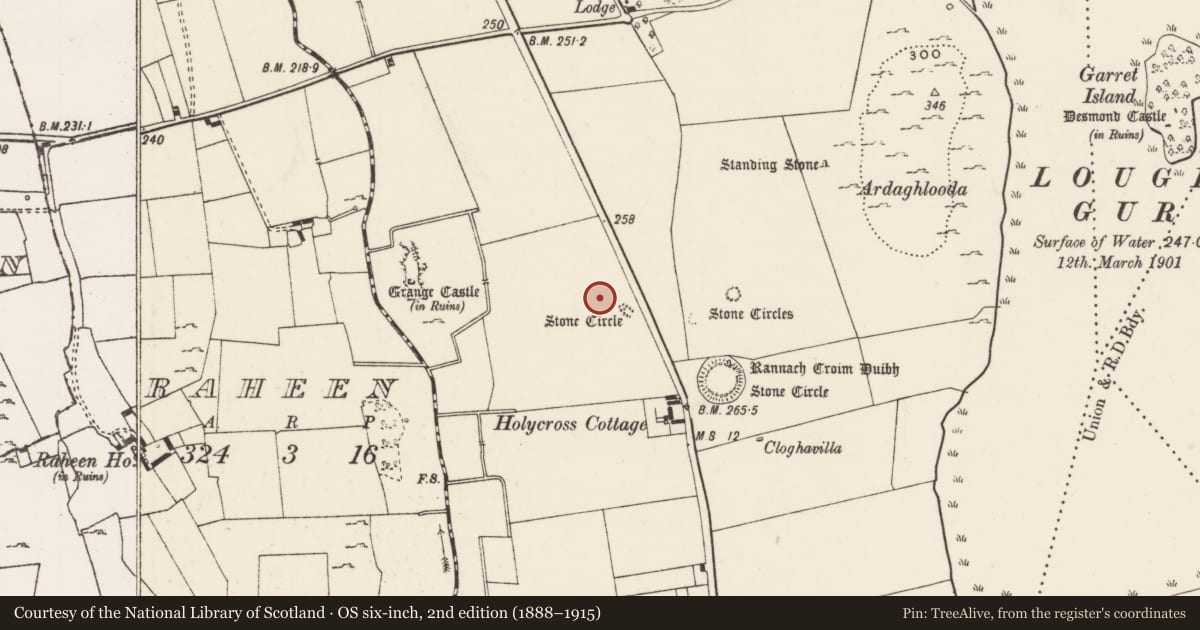 Ordnance Survey six-inch map, 2nd edition (1888–1915) covering the location of Stone circle - embanked, Grange, County Limerick, with a pin at the register's coordinates