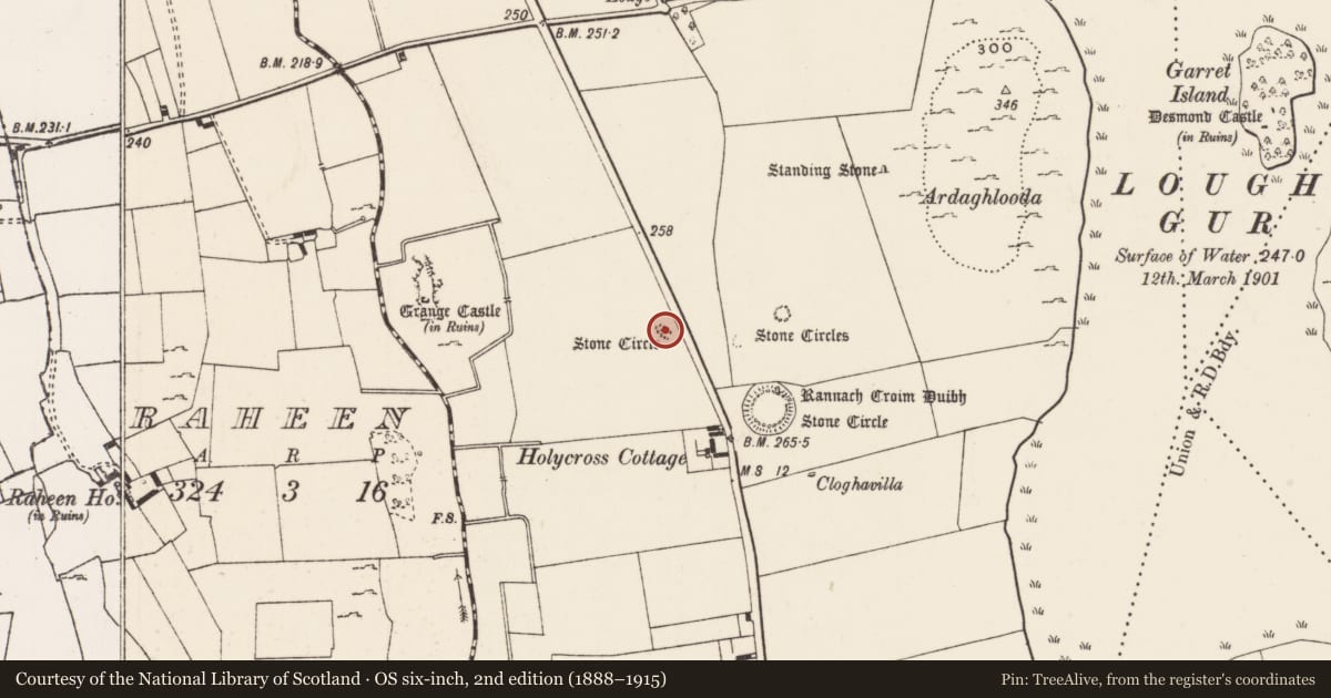 Ordnance Survey six-inch map, 2nd edition (1888–1915) covering the location of Megalithic tomb - court tomb, Grange, County Limerick, with a pin at the register's coordinates