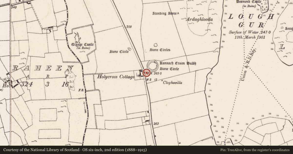 Ordnance Survey six-inch map, 2nd edition (1888–1915) covering the location of Megalithic structure, Grange, County Limerick, with a pin at the register's coordinates